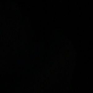 Meet your Posher, Julius